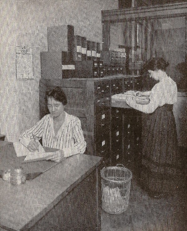 1918 Female Clerical Workers 3.11 OM.jpg (105645 bytes)